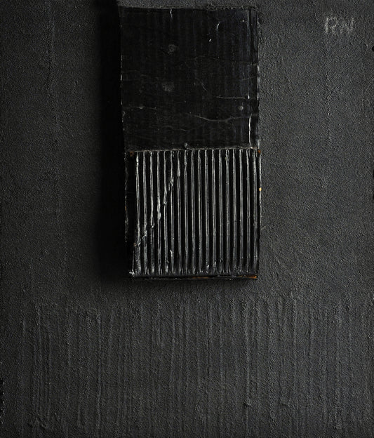 TEXTURA Y MATERIA 1. Ricardo Nowinski. 50x43 cm. Año 2018.