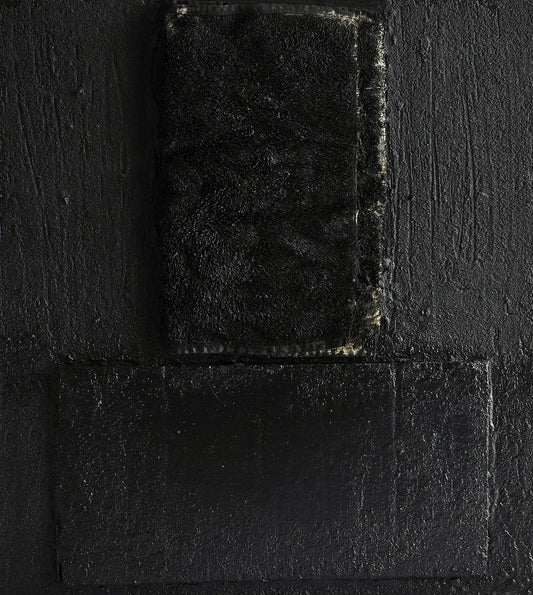 TEXTURA Y MATERIA 2. Ricardo Nowinski. 50x43 cm. Año 2018